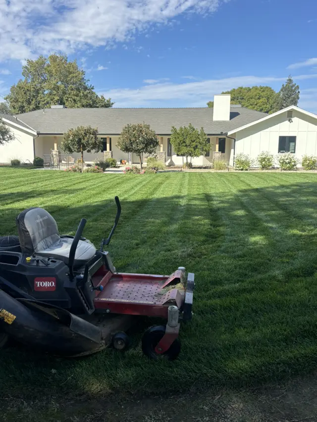 Fresh-cut lawn & tidy beds