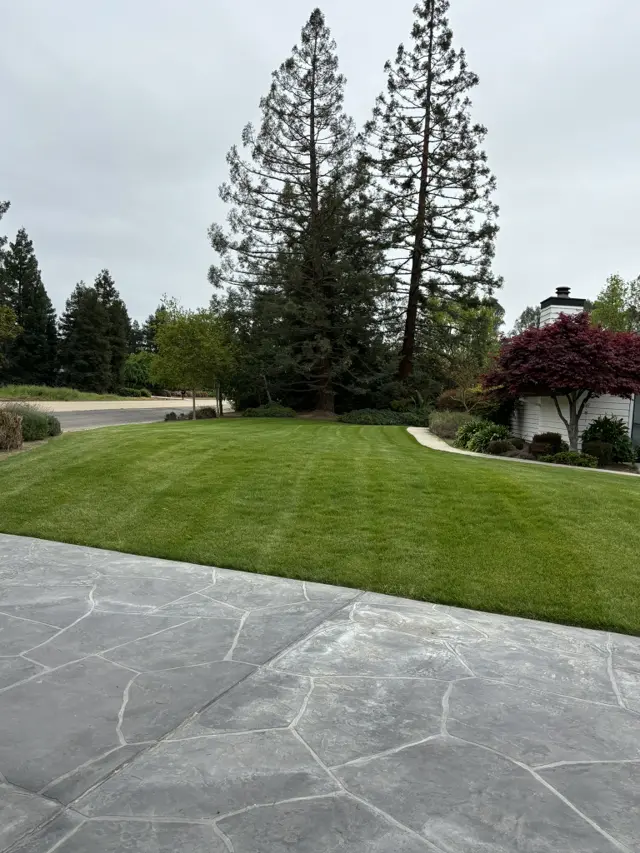 Manicured front lawn