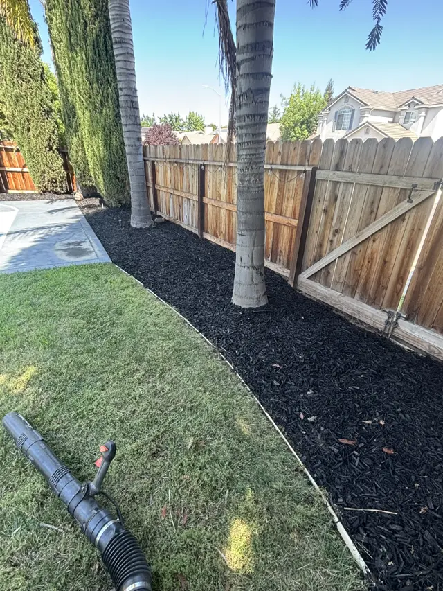 Fresh black mulch along the fence